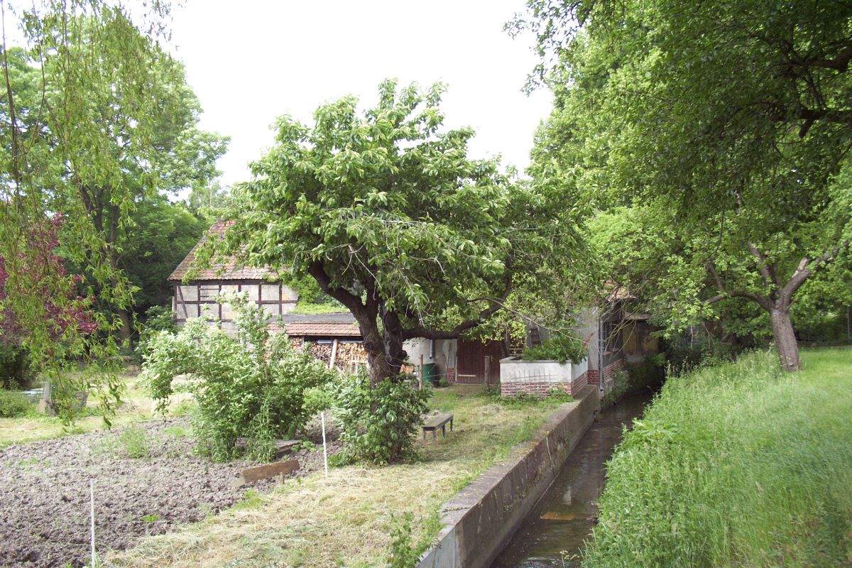 Mühlengehöft vom Spiegelsbergenweg aus gesehen